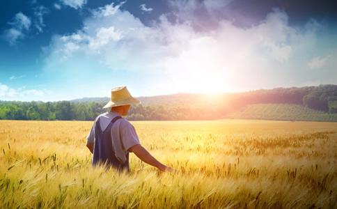 农业工程师的岗位职责是什么？-十大猎头公司【高邦猎头】