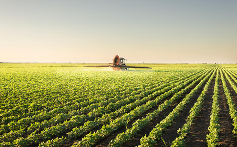 农业猎头分析2020年我国有哪些知名农业公司？ 