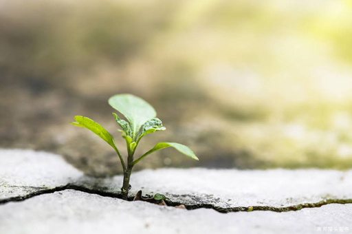 猎头分享四川关于2022年调整退休人员基本养老金的通知