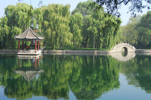 教育猎头如何助力潍坊地区私立学校招聘到优秀教师