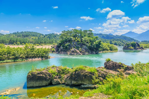 浙江教育行业中有哪些知名的猎头公司？